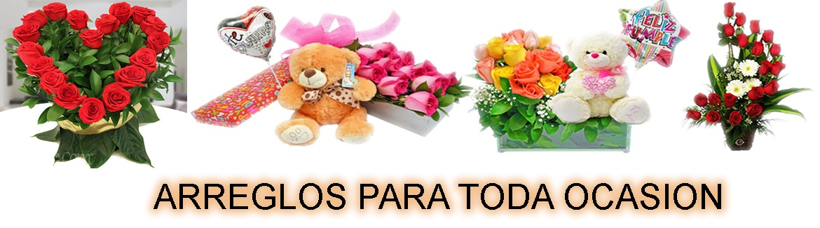 Banner Toda Ocasion