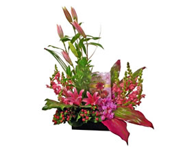 Producto flores OTOÃ‘O
