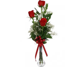 Producto flores SUSPIRO