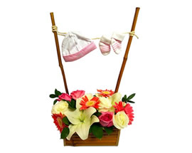 Flores ANGELICAL