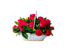 Flores DESLUMBRANTE