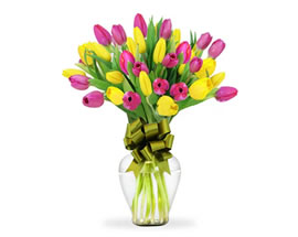 Flores DULCE