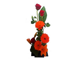 Flores RED
