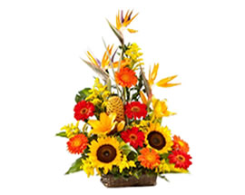 Flores RESPLANDOR