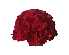 Producto flores FANTASTICO
