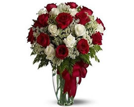 Flores MARAVILLA