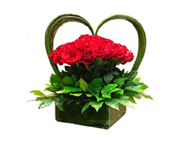 Producto flores KIUT