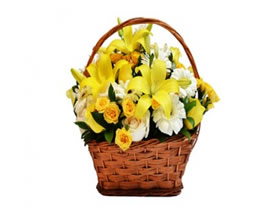 Producto flores YELLOW