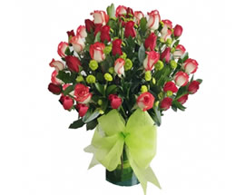 Flores GENIAL