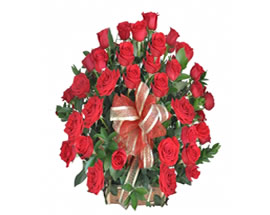 Producto flores RADIANTE
