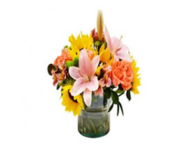 Flores ALBA