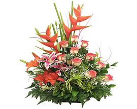 Flores SENTIMIENTOS